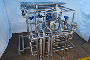 Pasteurizer skid